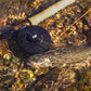 Ripple Series Fly Reel